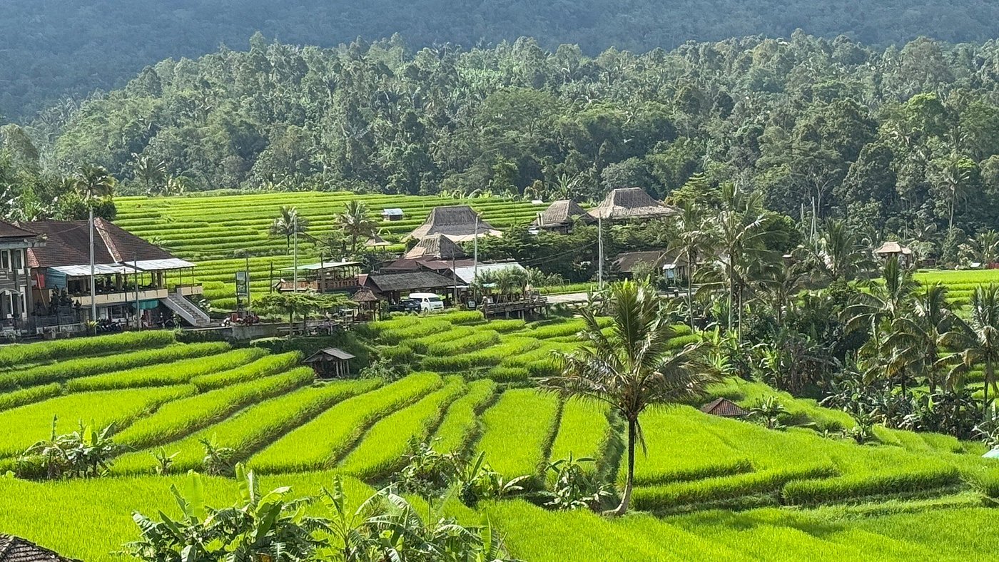 Bali Beyond the Beaches
